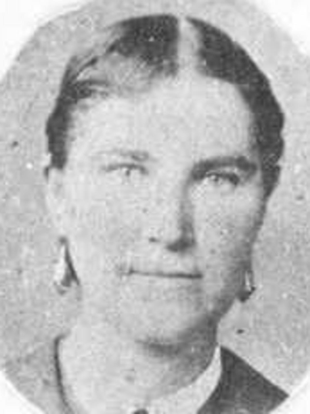 Mary Isabella Newton (1849 - 1933) Profile